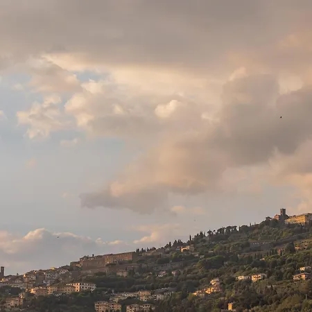 فيلة San Marco *